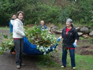 dscn39291-300x225-9862929