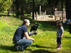 p1010507-300x225-1130221