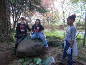 solve1-300x225-3984988