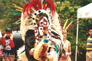 festival-300x200-8937945