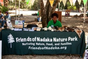 festival-2018-3-0-300x200-7388506