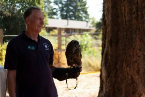 festival-bird-2018-300x200-2037751