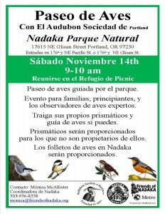 nov-bird-walk-large-s1-232x300-7756338