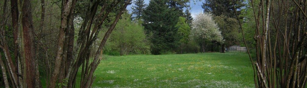 tribe-loading-2240974