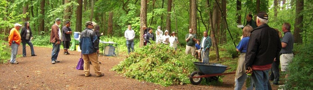 tribe-loading-5947323