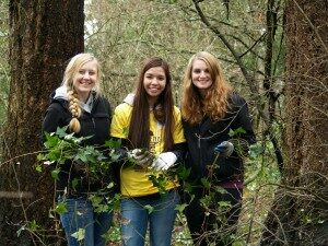 p1019400-300x225-5847990