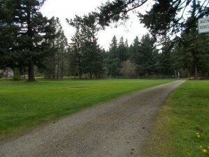 nelson-300x225-8305195