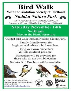 nov-bird-walk-large-es-232x300-1279725