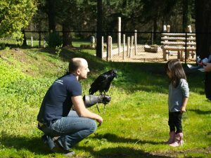 p1010507-300x225-9645814