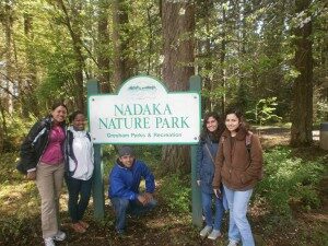 seed-300x225-5024469