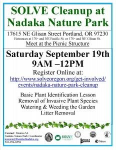 solve-cleanup-nadaka-fall-2015-1-0-232x300-2750117
