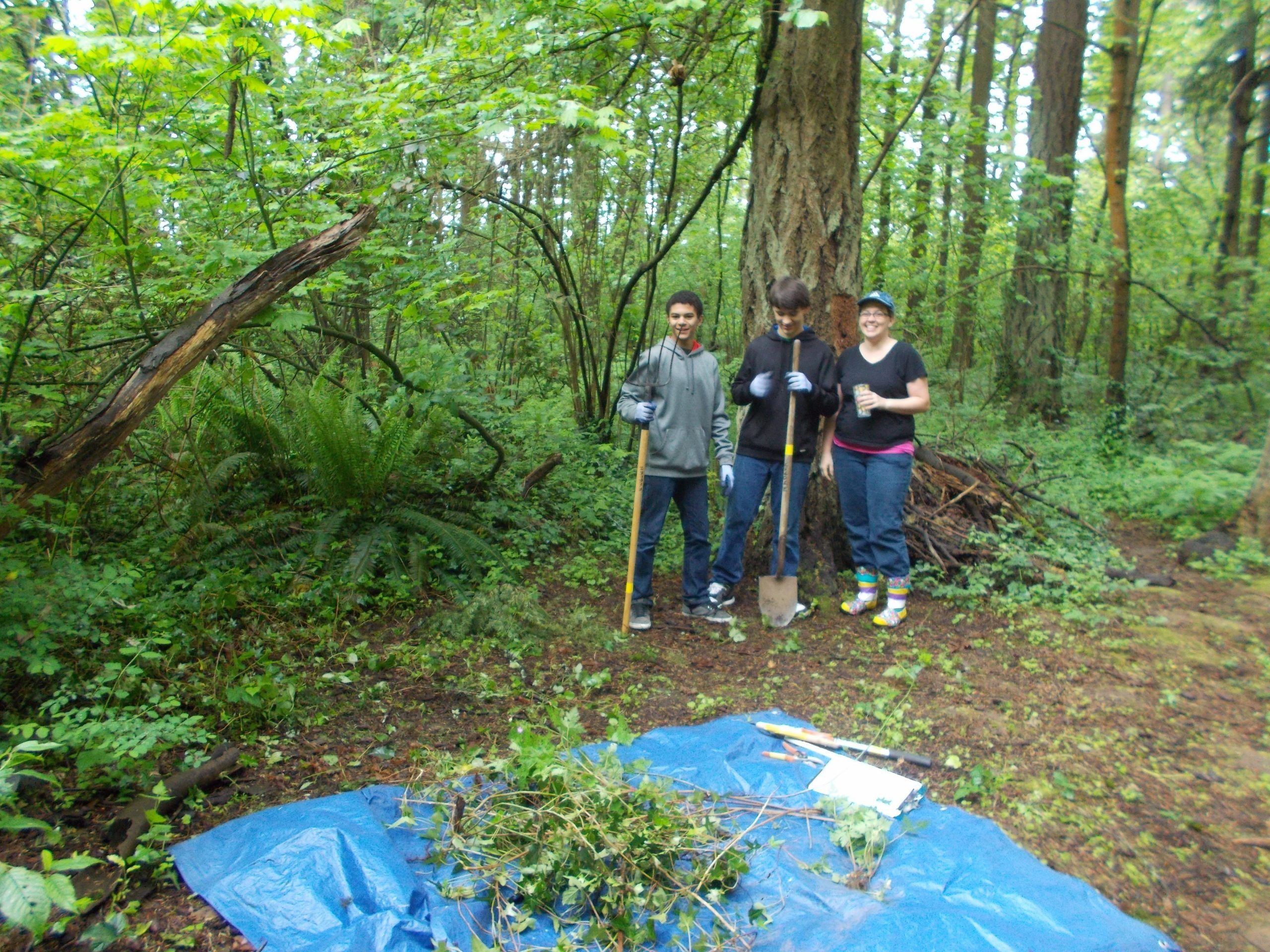 cleanup-2-e1430245486170-3361905