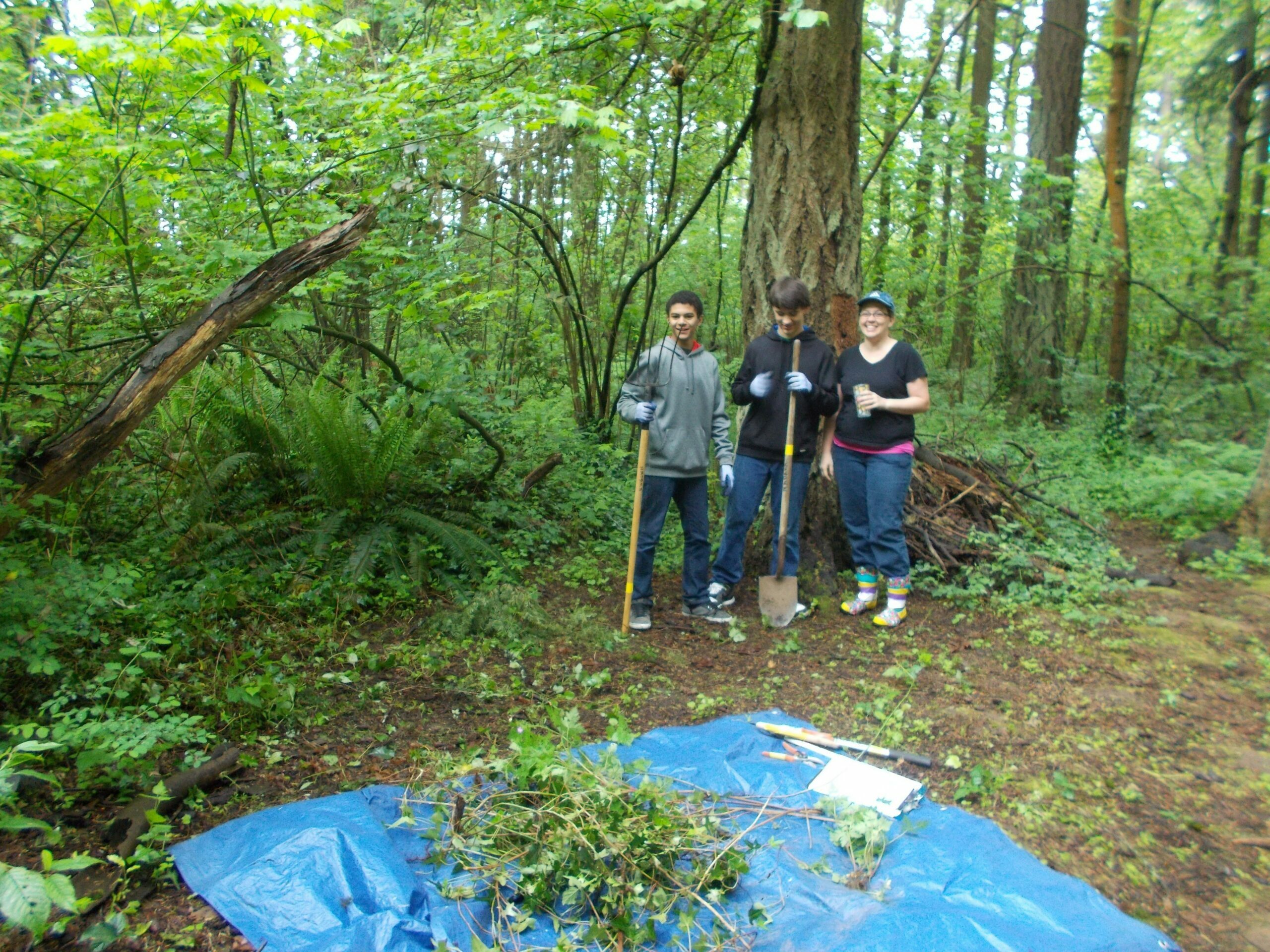 cleanup-2-e1430245486170-5455222