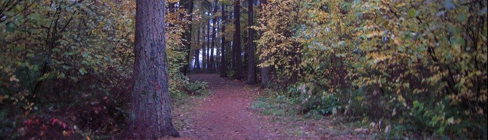 tribe-loading-4872385