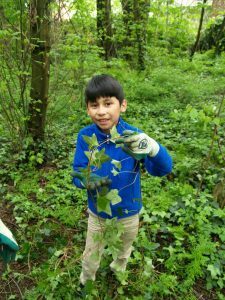 p1012292-e1476132193219-225x300-6113685