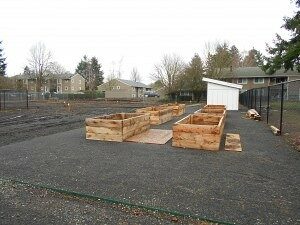 com-garden-300x225-5817317