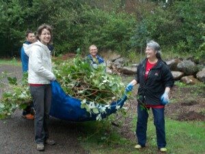 dscn39291-300x225-2682069