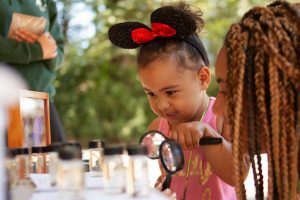 festival-2018-6-0-300x200-8935631