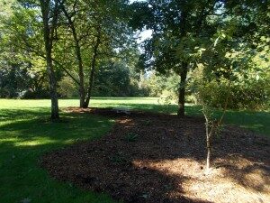 joey51-300x225-3513928