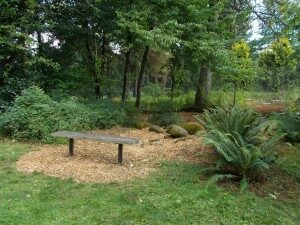 nature-300x225-3243209