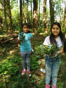 p1017269-e1443477376194-225x300-8259189