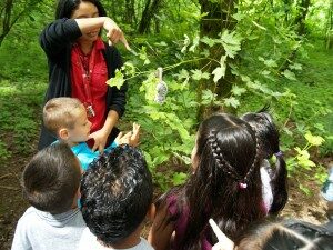 p1017843-300x225-6425765