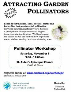 pollinator-workshop-flyer-232x300-8202197