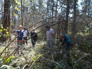 sat41-300x225-5125364