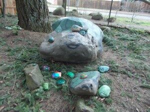 turtle1-300x225-3050091