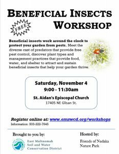 beneficial-insects-workshop-picture-232x300-8520333