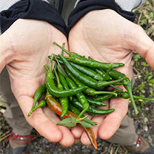 20161014_122226_225-1158892