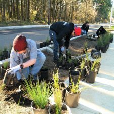 nature-1-e1517341112270-5526684