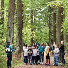 nature-3-e1517345072560-5696349